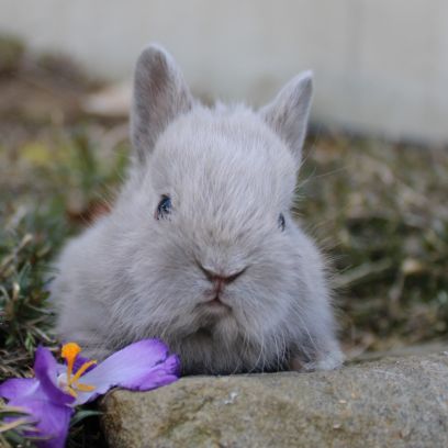 Animalerie Mon Favori